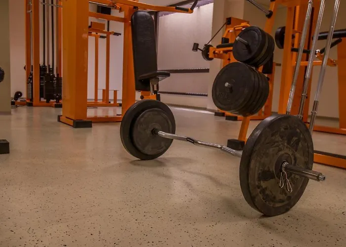 Macon Wellness & Sweti Wlas