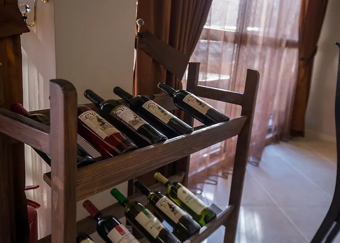 아파트호텔 Macon Wellness & 3*